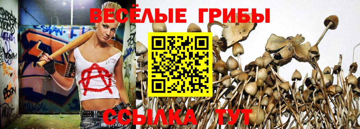 Галлюциногенные грибы Magic Shrooms Ейск