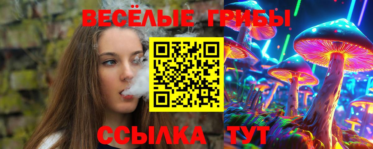 Ейск  Галлюциногенные грибы MAGIC MUSHROOMS  Вход с VPN 
